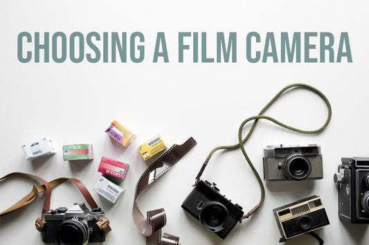 Choosing a Film Camera - 8storeytree