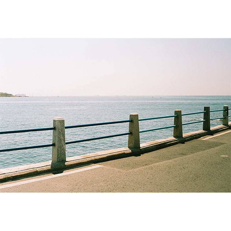 Reflx Lab - Pro 100 Colour 35mm film