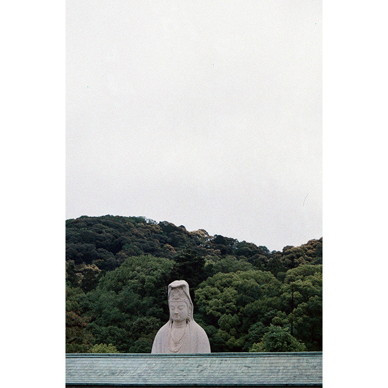 Popho Luminar 100 35mm Film (Expiry 09/2024)