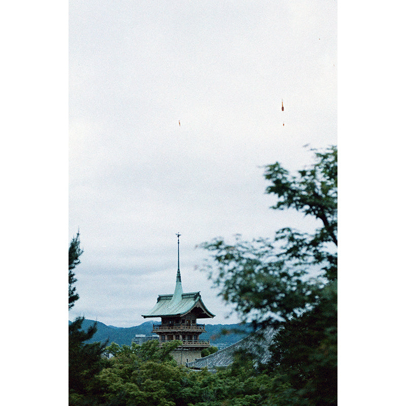 Popho Luminar 100 35mm Film (Expiry 09/2024)