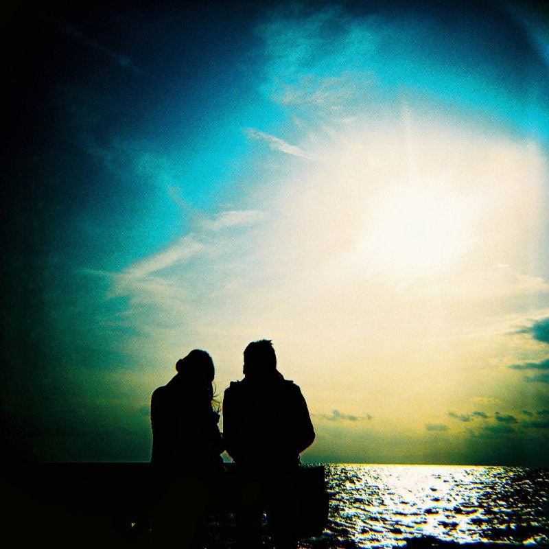 Lomography Diana F+ 120 Film Camera & Flash