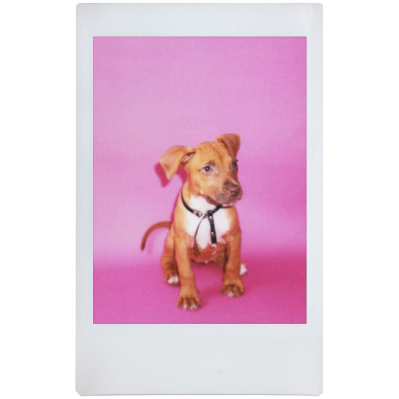 Lomography Lomo’Instant Square Glass Camera (White Edition)
