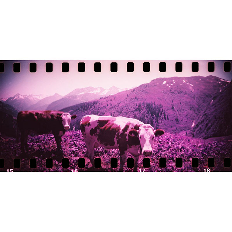 Lomography Sprocket Rocket 35mm Film Camera
