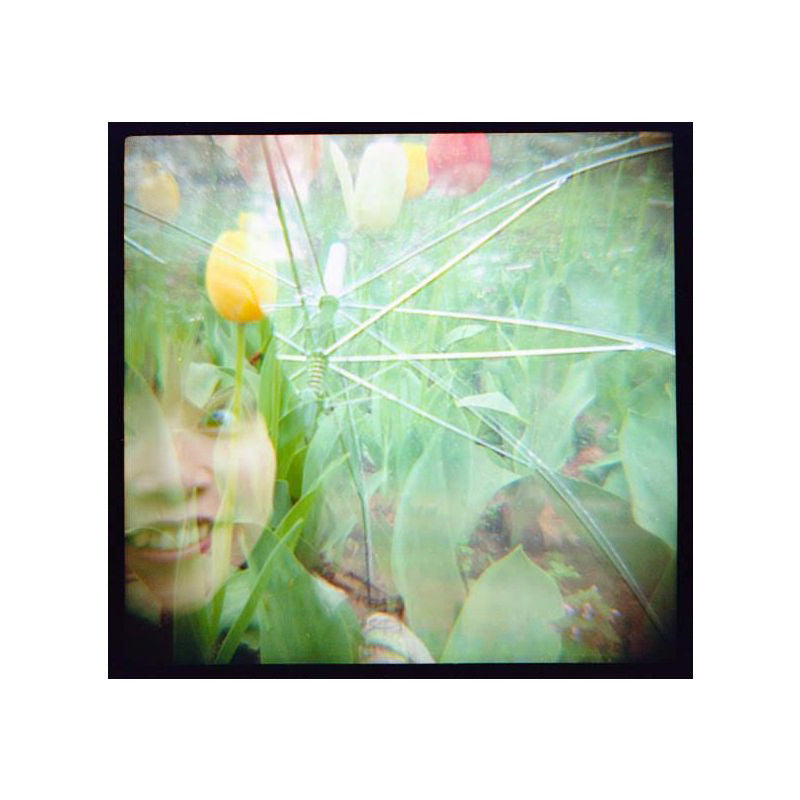 Lomography Color Negative 800 120 Film