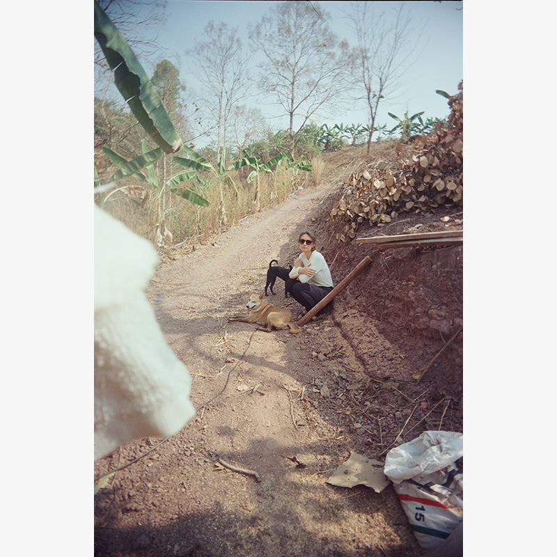 FilmNeverDie KUMO 250D 35mm Film