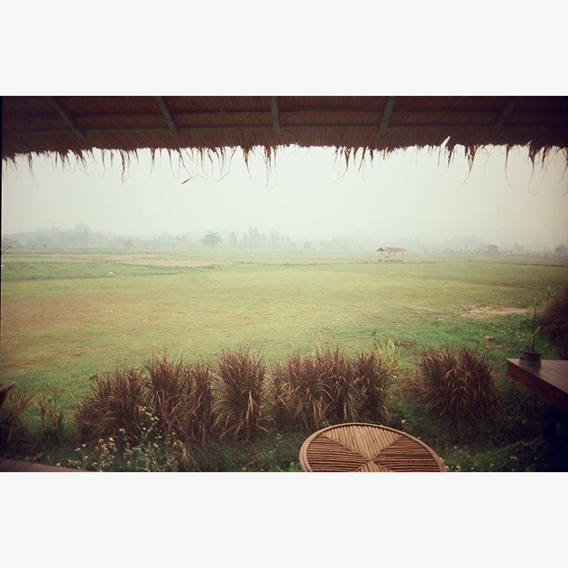 FilmNeverDie KUMO 250D 35mm Film