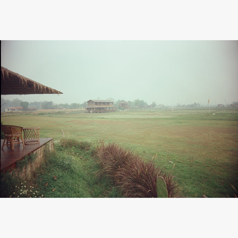 FilmNeverDie KUMO 250D 35mm Film