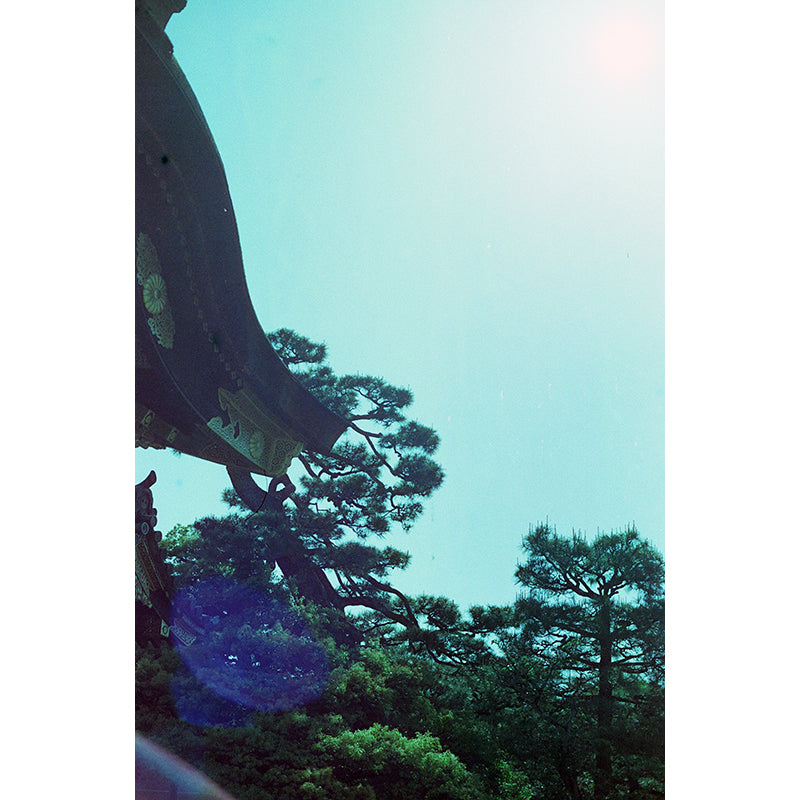 320T Tungsten EI 320T 35mm Film
