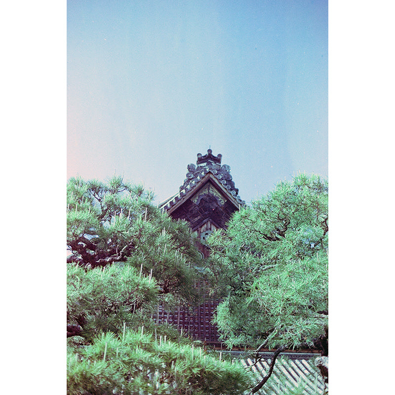 320T Tungsten EI 320T 35mm Film