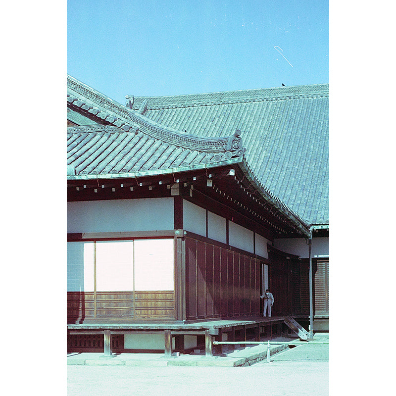 320T Tungsten EI 320T 35mm Film