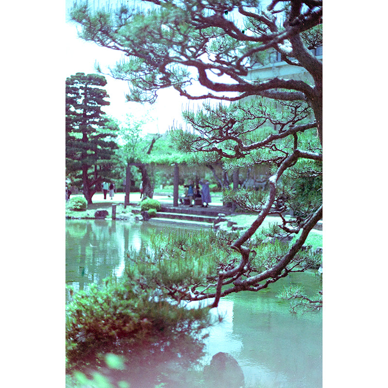 320T Tungsten EI 320T 35mm Film