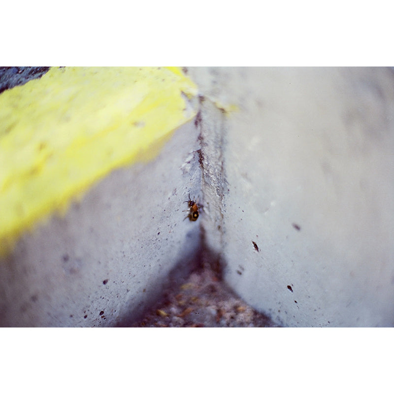 RetoColor Amber T200 35mm Film (Expiry 12/2025)