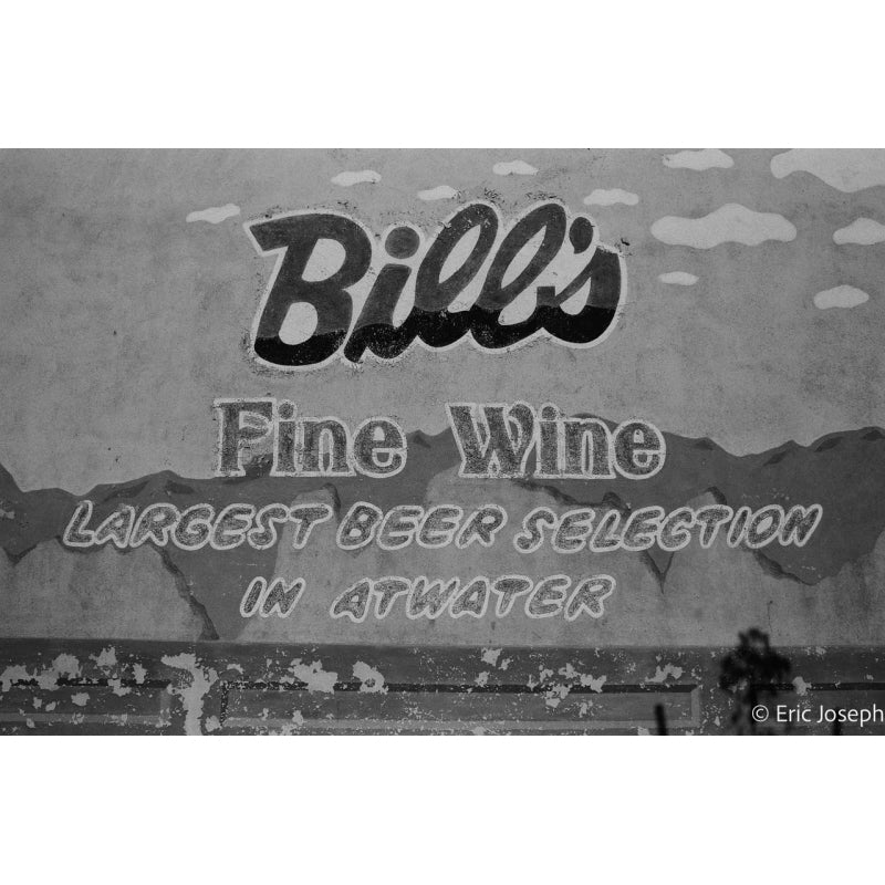 AristaPAN 100 35mm Film