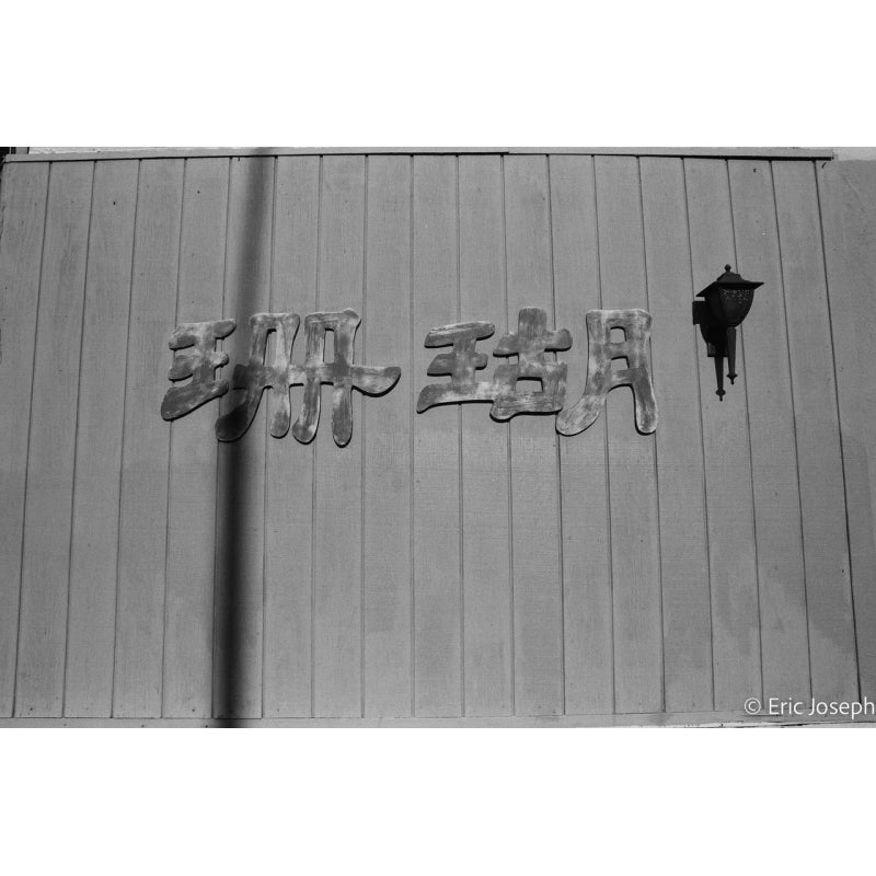 AristaPAN 100 35mm Film