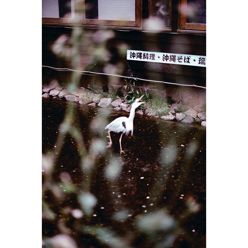 Alien Film - NC400 35mm Film