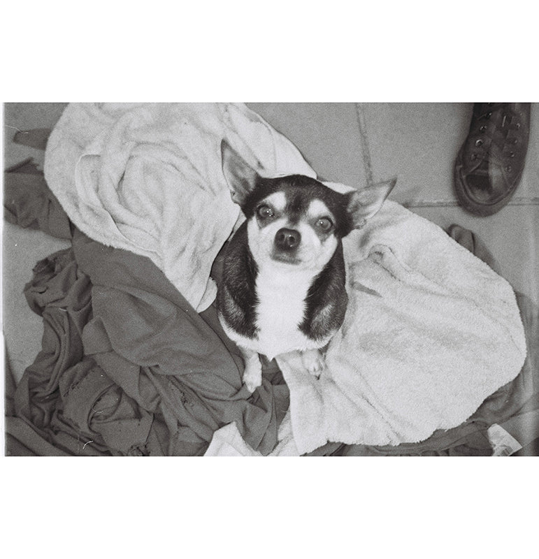 Dubblefilm Daily Black & White 35mm Film