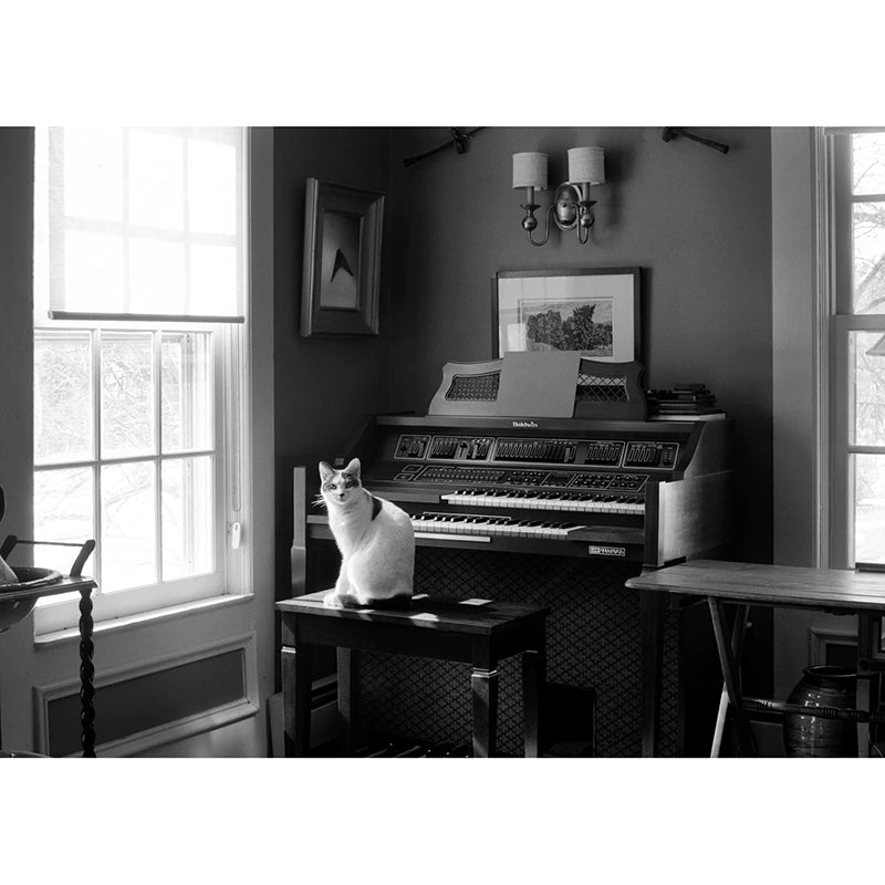 Ferrania Orto 50 35mm Film (Expiry 10/2025)