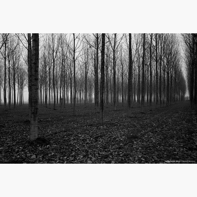 Ferrania P33 160 35mm Film