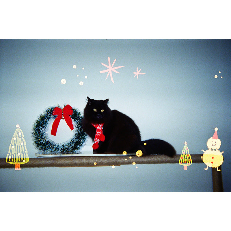 Goodie x Thirtysi36 Disposable Camera (Christmas 2024 Edition)