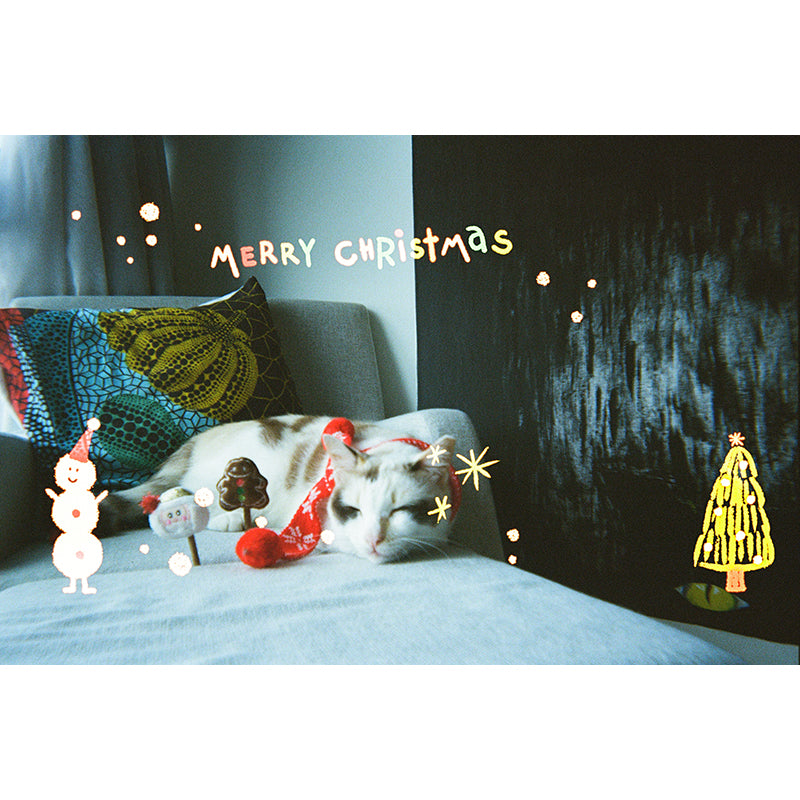 Goodie x Thirtysi36 Disposable Camera (Christmas 2024 Edition)