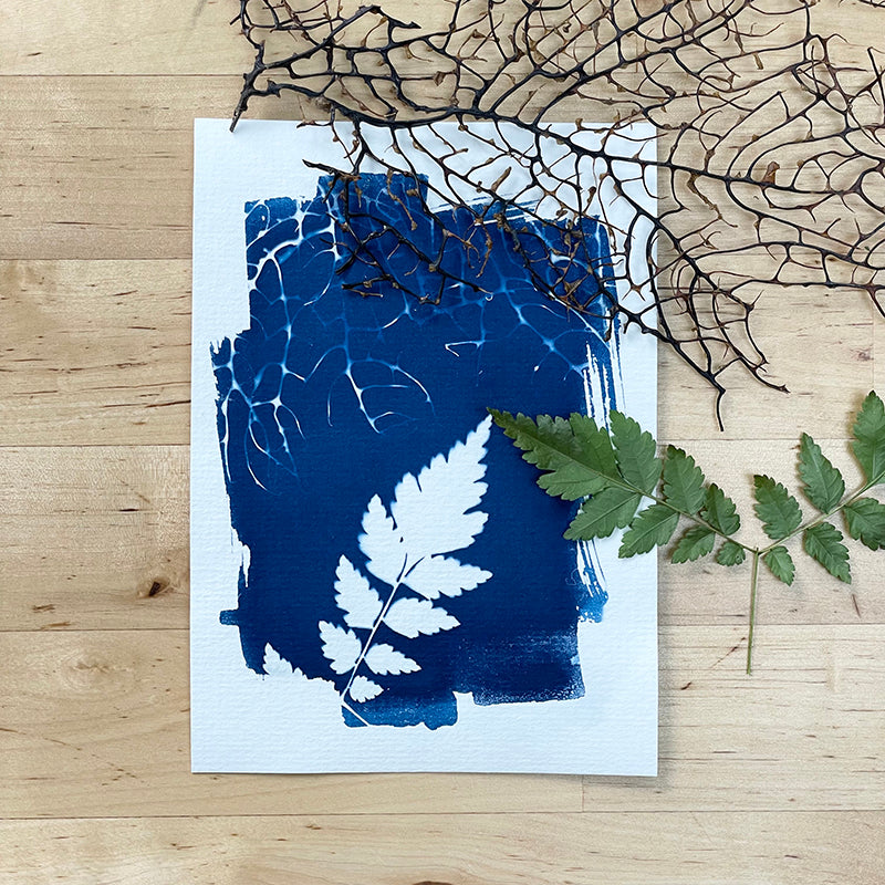 Thirtysi36 - Cyanotype Kit