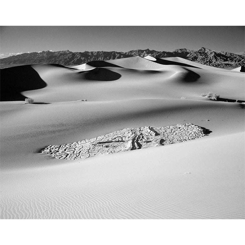 Rollei Infrared 120 Film