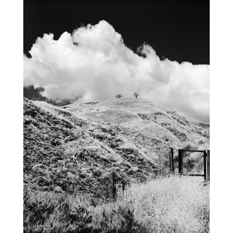 Rollei Infrared 120 Film