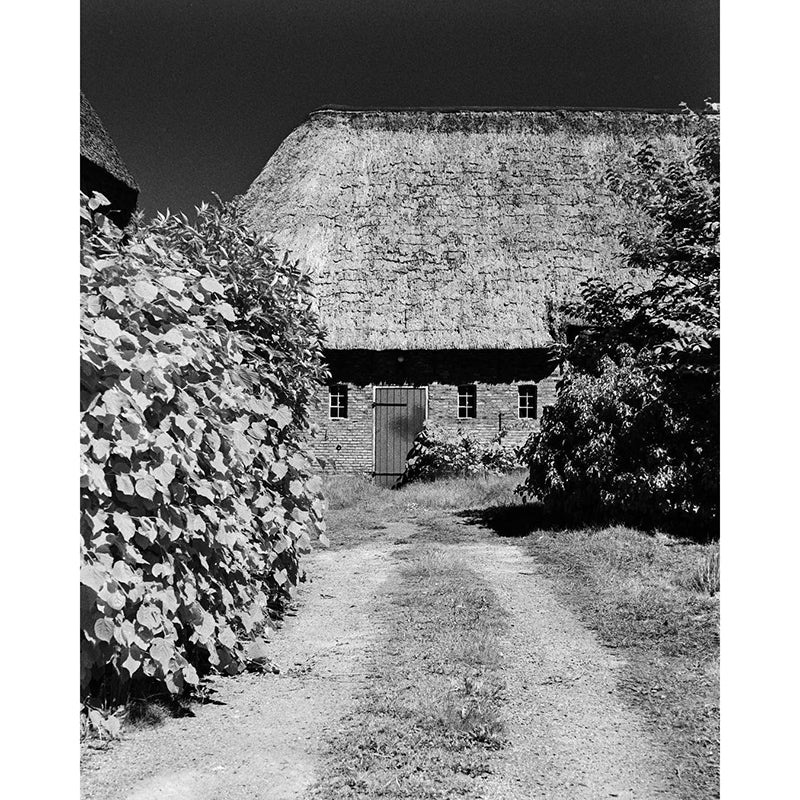 Rollei Infrared 120 Film