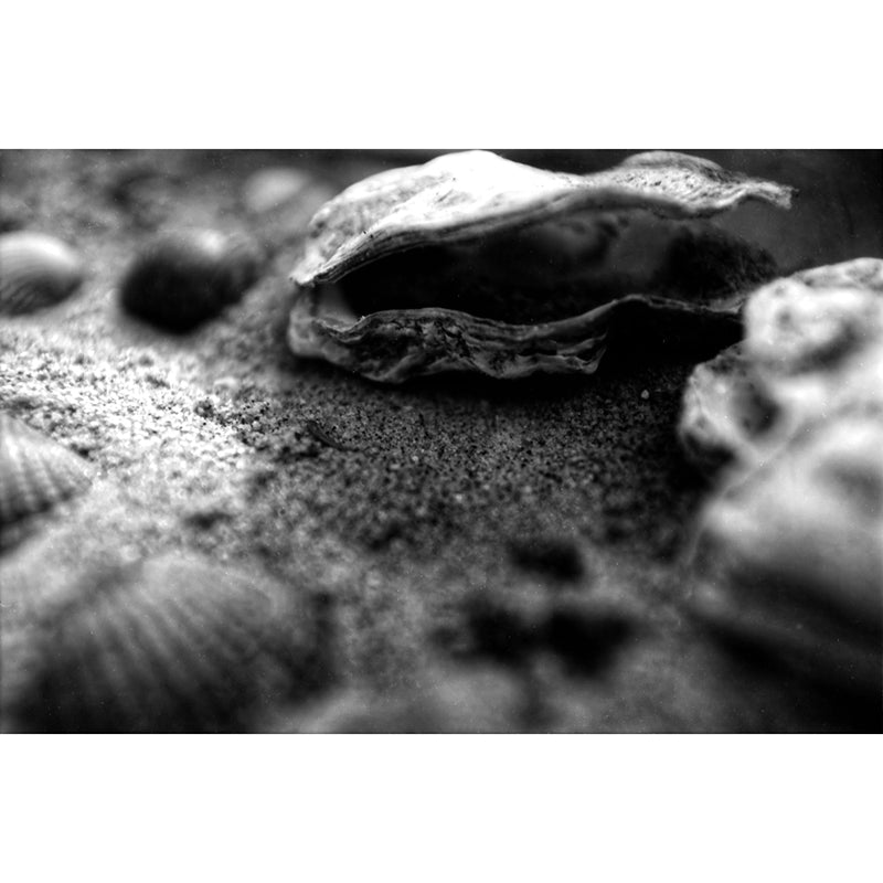 KONO! SLOW ISO 6 Black & White 35mm Film