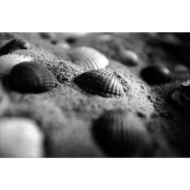 KONO! SLOW ISO 6 Black & White 35mm Film