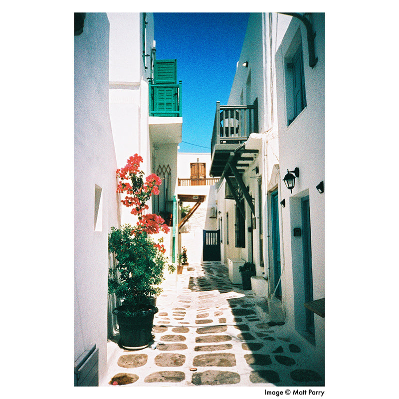 Harman Phoenix 200 35mm Film