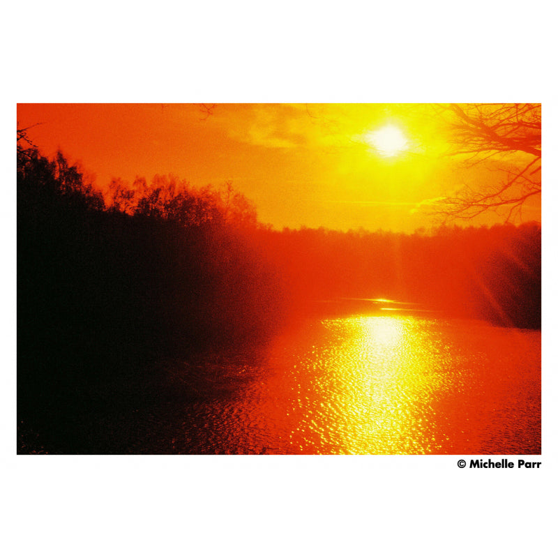 Harman Red 125 120 Film