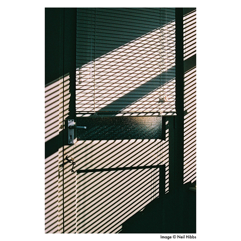 Harman Phoenix 200 35mm Film