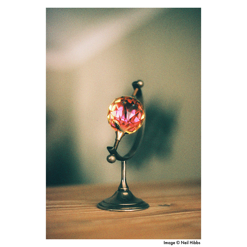 Harman Phoenix 200 35mm Film