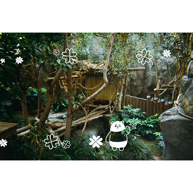 Polab Goodie Reloadable Disposable Camera (New Ocean Park Panda Friends Edition)