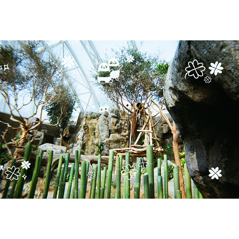 Polab Goodie Reloadable Disposable Camera (New Ocean Park Panda Friends Edition)