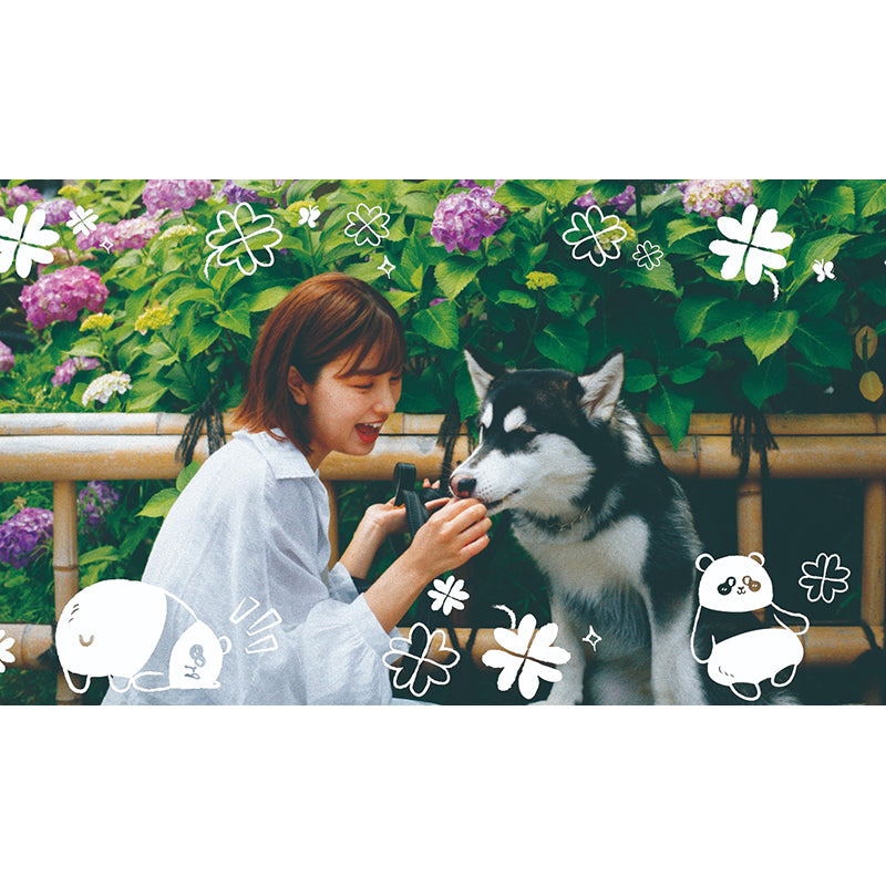 Polab Goodie Reloadable Disposable Camera (New Ocean Park Panda Friends Edition)