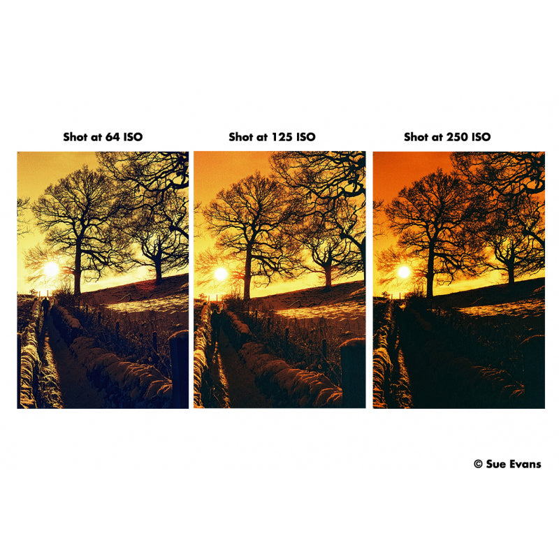 Harman Red 125 120 Film