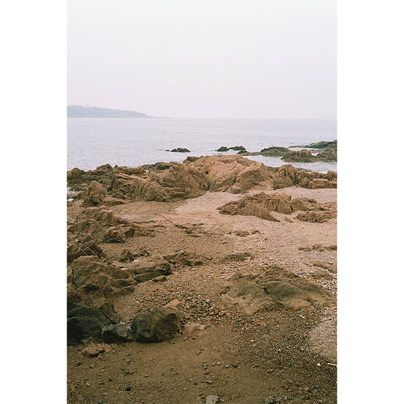 Reflx Lab - Pro 100 Colour 35mm film