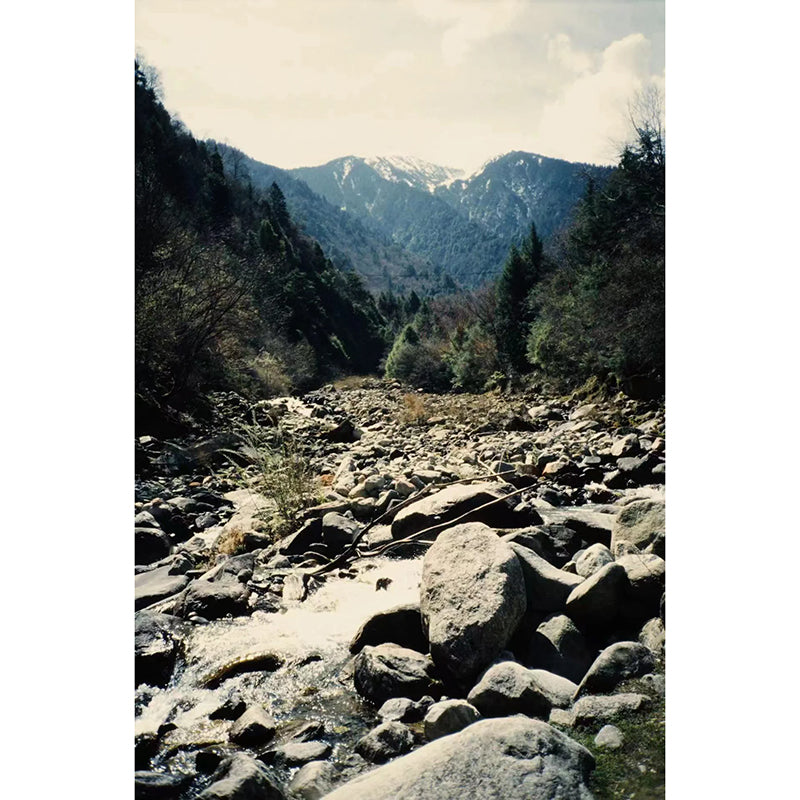 FilmNeverDie CHAMELEON 100 35mm Film