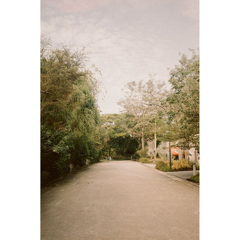 Hoasca - Snug 200 35mm Film