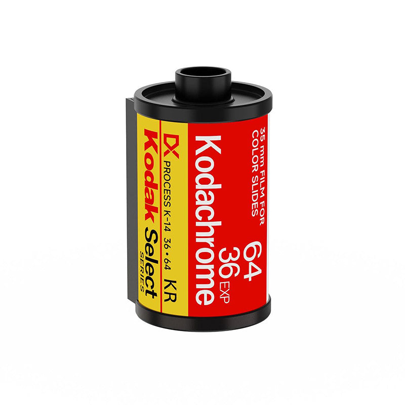 Film Canister Table Lamps