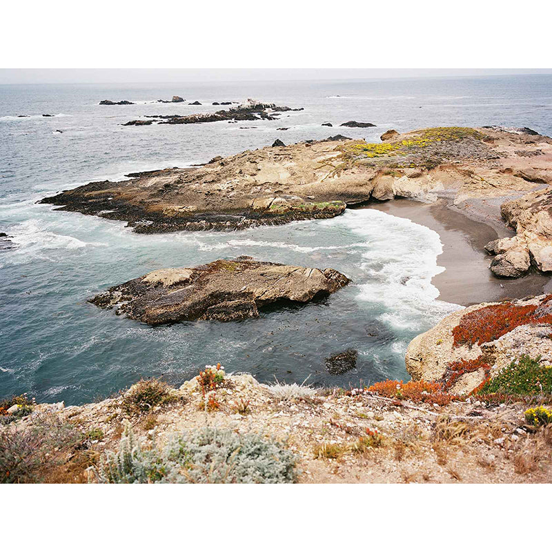 Kodak Ektacolor Pro 160 35mm Film