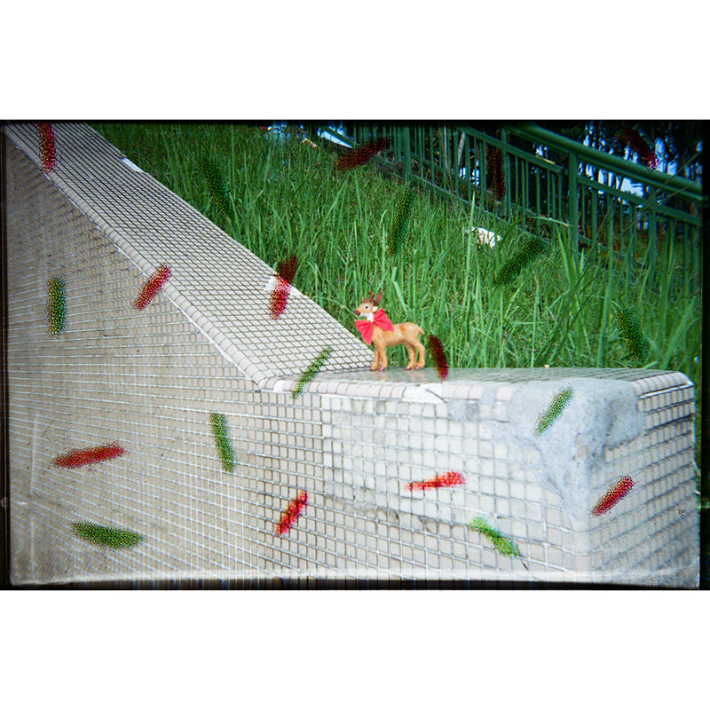 Goodie x Thirtysi36 Disposable Camera (Christmas Edition)
