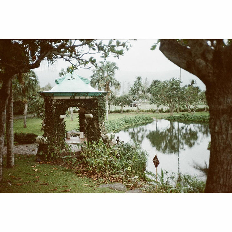 Ilford Ilfocolor Vintage Tone 400 Plus 35mm Film