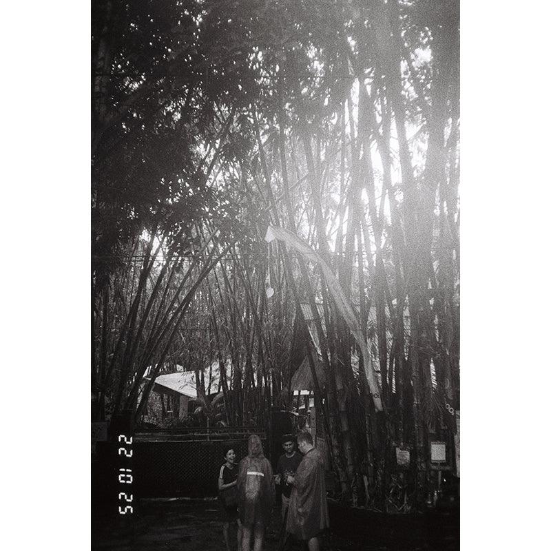 Thirtysi36 - 400 Black & White 35mm Film - 8storeytree