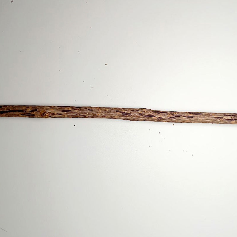 Polygonum Wood Feather Cat Stick Toy