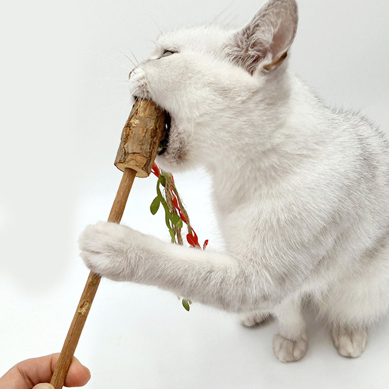 Polygonum Wood Tassel Cat Stick Toy