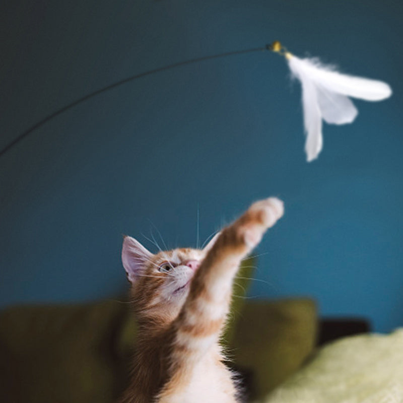 Wakupet Feather Cat Teaser Stick