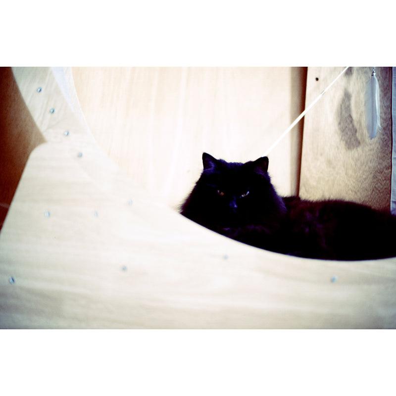 Thirtysi36 - E100 Colour 35mm Film - 8storeytree